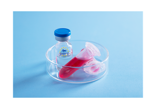 [GEN - PYT405-20ug] TNF a Porcine