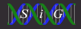 silicongenetics